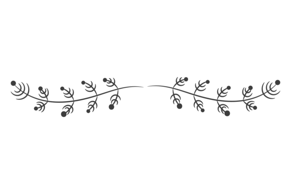 Botany Divider for Branding and Marketing