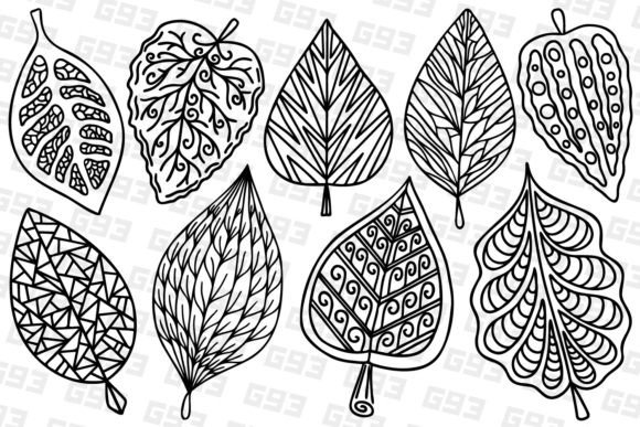 Stylized Decorative Line Art Leaves: Graphics & Illustrations